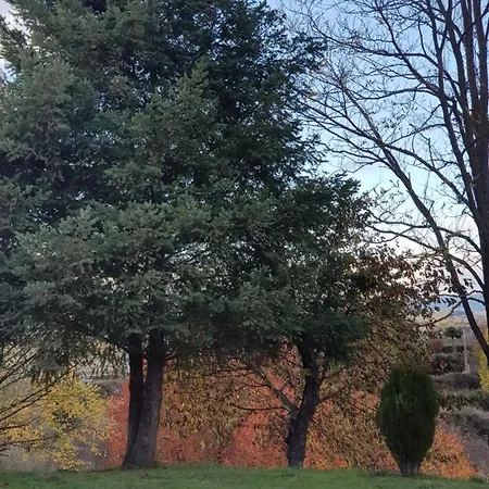 La Artesonada Casa Con Finca * Puebla de Sanabria