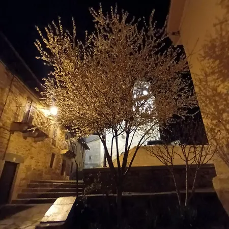 La Artesonada Casa Con Finca * Puebla de Sanabria