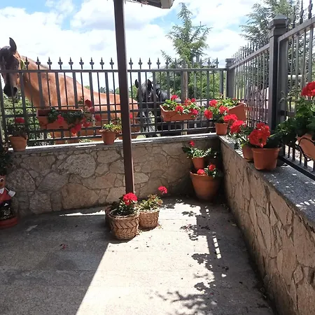 La Artesonada Casa Con Finca Holiday home Puebla de Sanabria